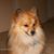 Nancy Campbell's profile image