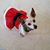 Doug Robinson's profile image