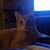 Michele Shaffer's profile image