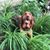 Ronda Frazee Keifer's profile image
