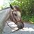 Janice Bolick's profile image