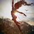 Debra Lynn Konieczny's profile image
