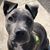 Priscilla Burroughs's profile image