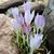 Diane Simonich's profile image