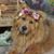 Andrea Matarazzo's profile image