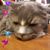 Dale Richard Boyer's profile image
