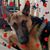 Molly Burrick's profile image