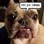 Lisa Nagengast's profile image