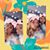 Ivonne Negrita Hermosa's profile image