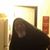 Chris Higgison's profile image