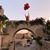 Ilona Rymar's profile image