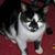 Julie Powers's profile image