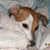 Mary Steele's profile image