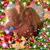 Loie Blackstone's profile image