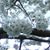 Sonja Lawrence Spary's profile image