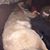 Juan Carlos Sanchez's profile image