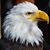 Joe Vaughan's profile image