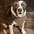 Tracy Bilyeu Parsons's profile image