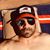 Steven Fatigante's profile image