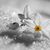 Sandra Baird Kwiecien's profile image