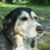 Jeffrey Flythe's profile image