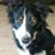 Janis McQuinn's profile image