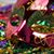 Donna Dennis-Hudson's profile image