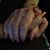 Amy Donne Johnson's profile image