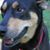 Clay Cutten's profile image