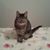 Sharon Malenfant-Moore's profile image
