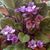 Judith Burnette's profile image