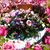 Pamela Wade's profile image