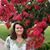 Lisa Lively's profile image