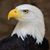 Michael Strachan's profile image