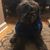 Jason Christopher Puryear's profile image