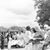 Thomasa Carol Risner's profile image