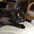Wendy Montie's profile image