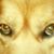 Gwen Hastings's profile image