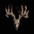 Beau Martin's profile image