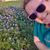 Lauren Al Azzawi's profile image