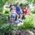 Diane Roembke Bohannon's profile image