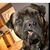 Mike Hubble's profile image