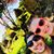 Estevan Gabriel Barela's profile image
