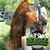 AJ Cargill's profile image