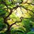 Samantha Sarris's profile image