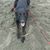 Margaret Schoonover's profile image