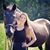 Chelsea Jordan's profile image