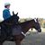Kathryn Melville's profile image