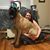 Tina Hampton's profile image