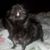 Jennifer Kelley's profile image
